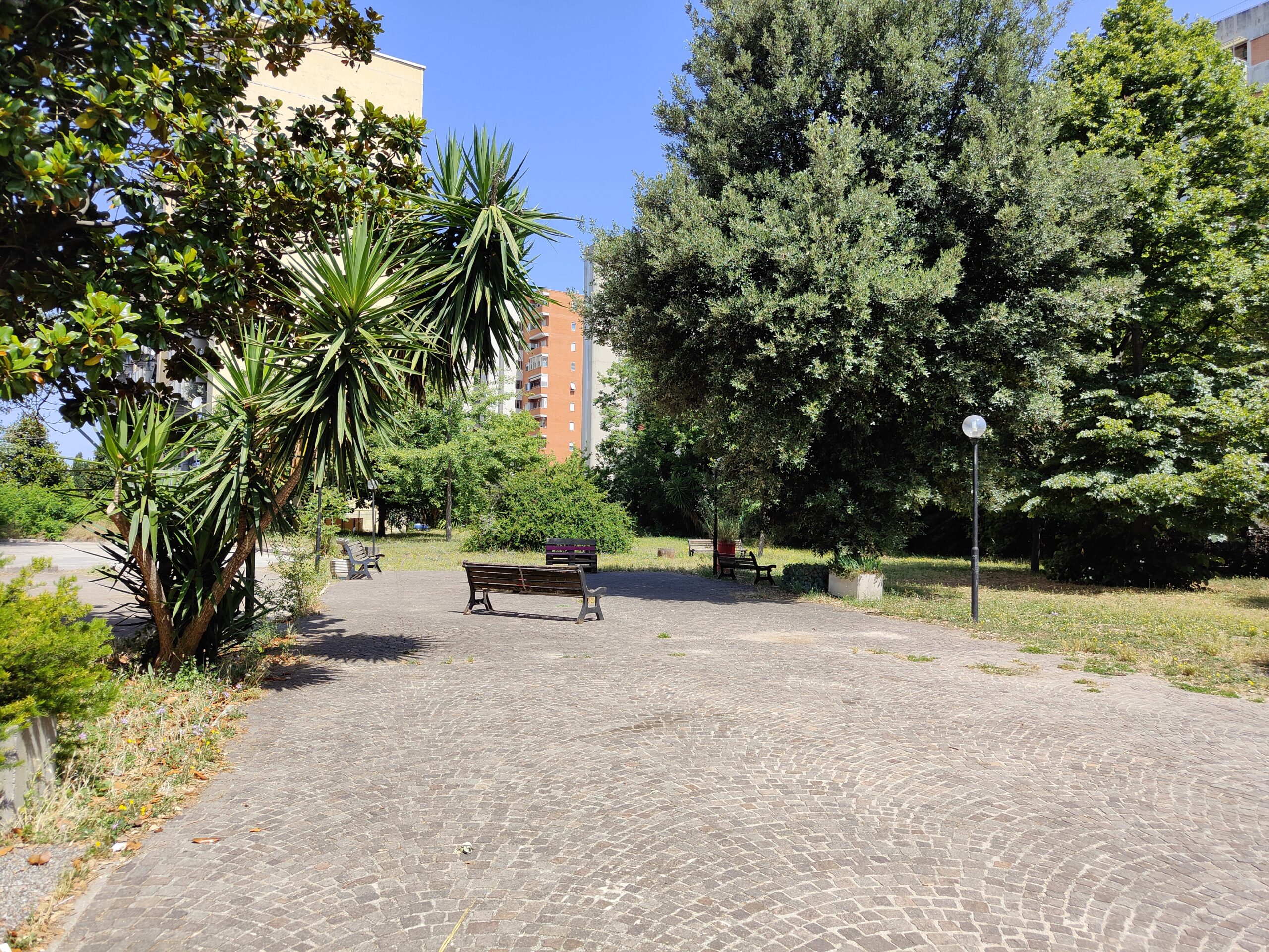 IMG20210630111316