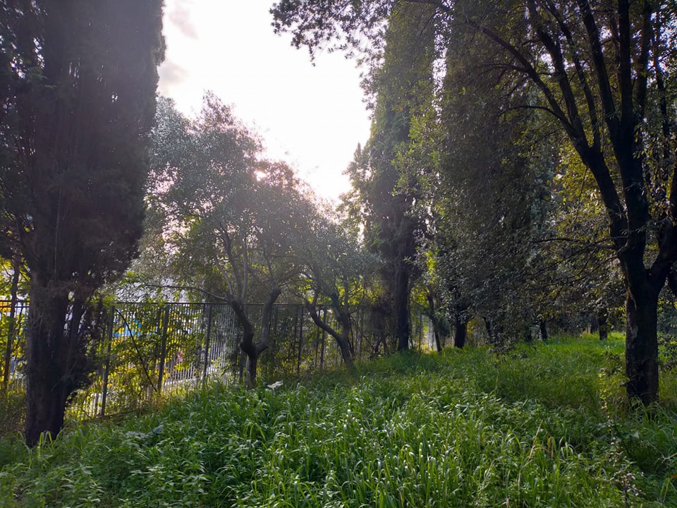 parco3
